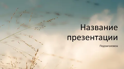 Слайд 1 шаблона презентации «Шаблон №135»