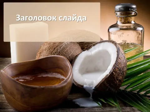 Слайд 1 шаблона презентации «Шаблон №588»