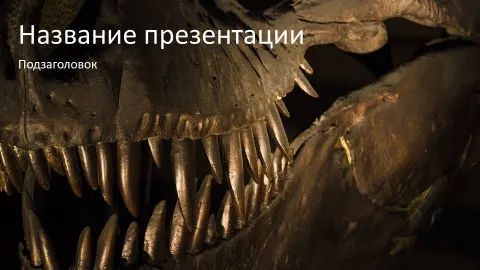 Слайд 1 шаблона презентации «Шаблон №1243»