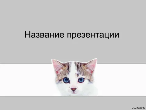 Слайд 1 шаблона презентации «Шаблон №1108»