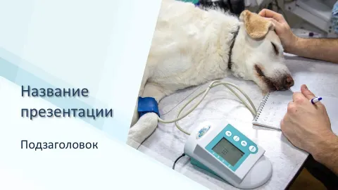Слайд 1 шаблона презентации «Шаблон №1120»