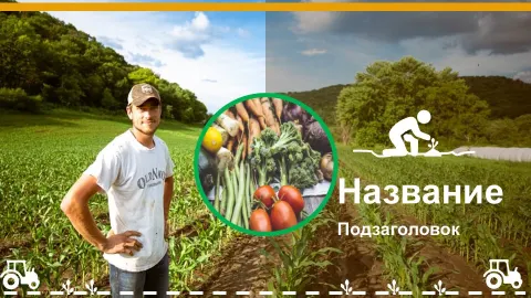 Слайд 1 шаблона презентации «Шаблон №2309»