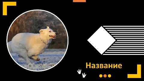 Слайд 1 шаблона презентации «Шаблон №2359»