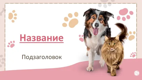 Слайд 1 шаблона презентации «Шаблон №2372»