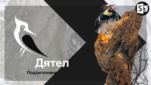 Слайд 1 шаблона презентации «Шаблон №2250»